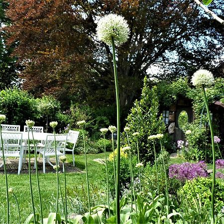 Bed and Breakfast Le Jardin Des Miroirs Esneux Esterno foto
