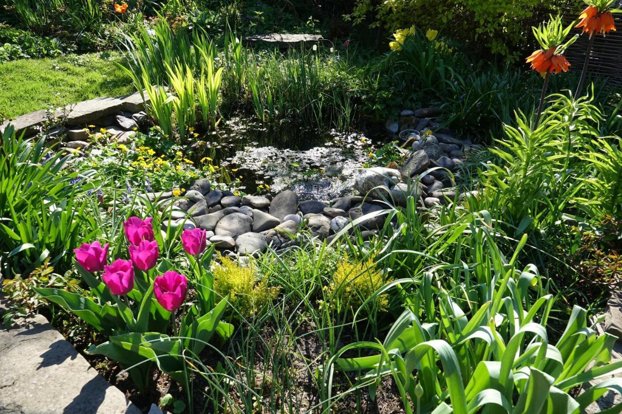 Bed and Breakfast Le Jardin Des Miroirs Esneux Esterno foto